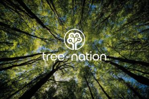 Tree-Nation, plantación de árboles para compensar emisiones de CO2